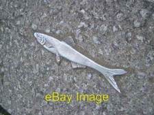 Photo 6x4 Silver fish outside the National Marine Aquarium Plymouth Lots c2006