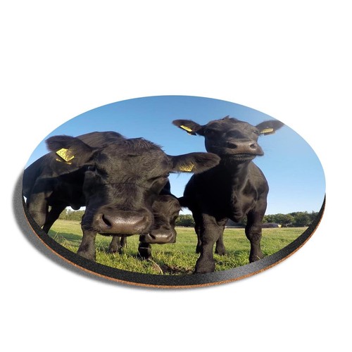Round mdf coaster black - round,
