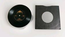 T Rex Get It On Raw Ram 7'