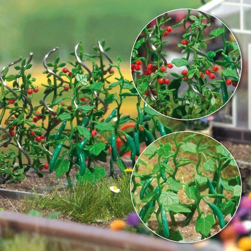 Cucumber tomato plants - &,