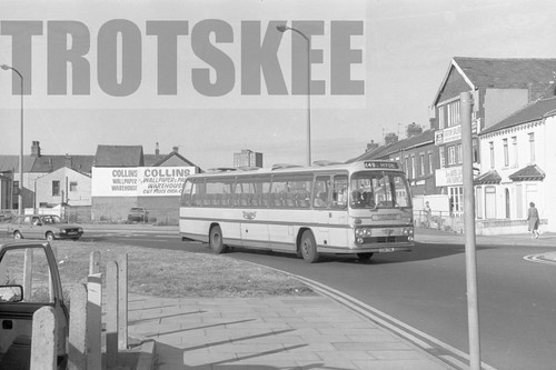 35mm black and white negative - 35mm,