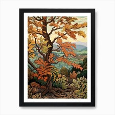 American Chestnut 3 Vintage Autumn  Framed Wall Art Poster Canvas Print Picture