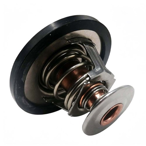 Marine engine thermostat for - marine,