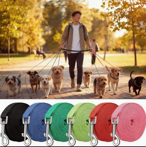 Dog training lead - dog,