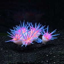 Colorful Artificial Coral