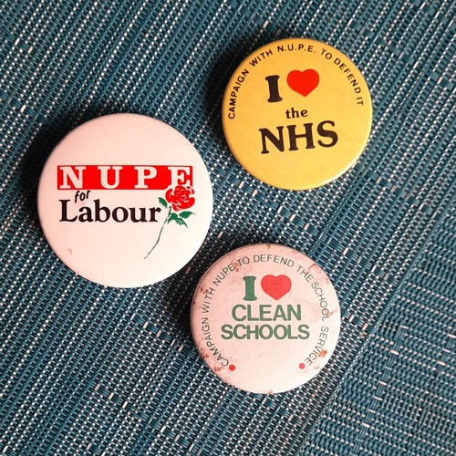Nupe badge pin set - badge,
