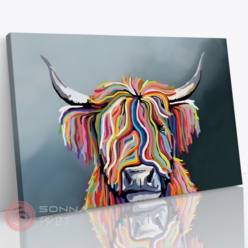 Highland cow animal abstract - highland,
