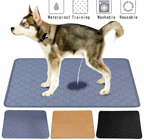 Washable reusable dog pee pad - dog,