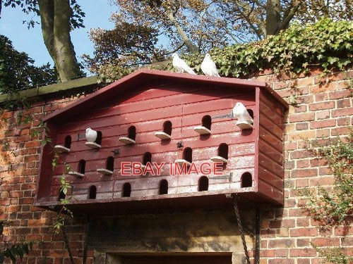 Photo dovecot alnwick - in,