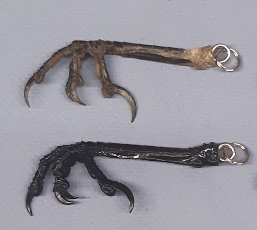 Large crow claw keyring - large,