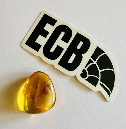 Baltic amber with mosquito - baltic,