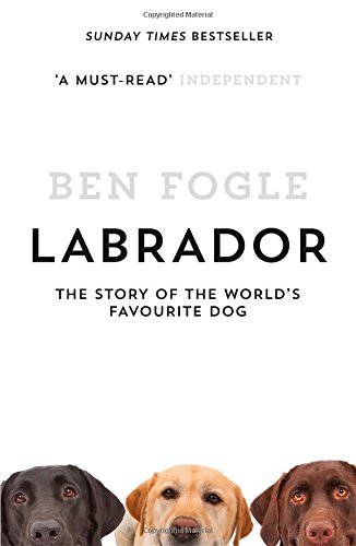 Labrador the story - the, of