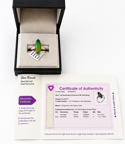 Natural ammolite diamond - aa, &