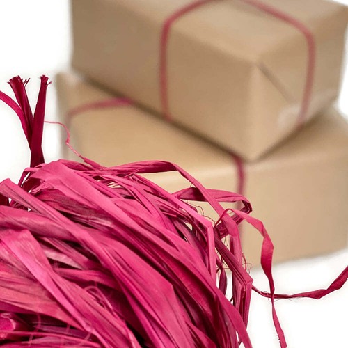 Raffia ribbon - raffia,
