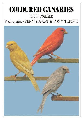 Coloured canaries walker - coloured,