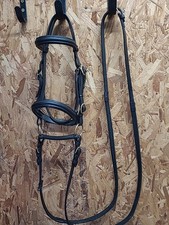 Windsor Ridden Showing Bridle