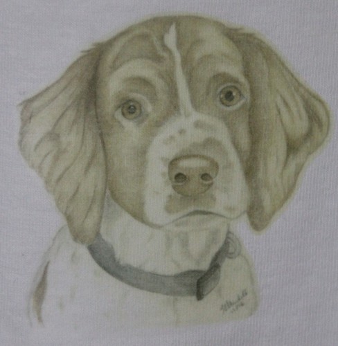 Springer spaniel shirts 7 - spaniel,