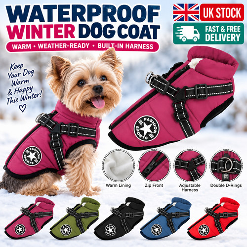 Dog coat waterproof - dog,