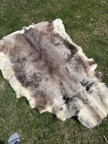 Natural reindeer hide rug - rug, –