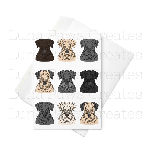 Cesky terrier dog card - terrier,