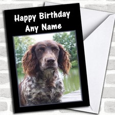 German Spaniel Birthday