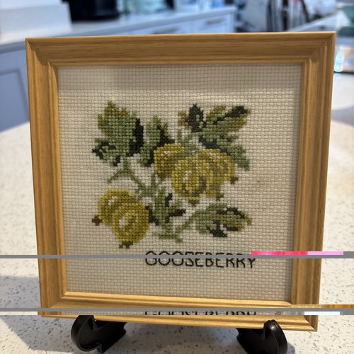 Vintage gooseberry cross - vintage,