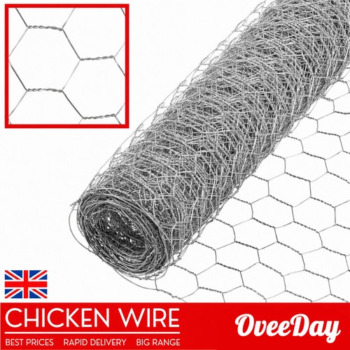 Chicken wire mesh - chicken,