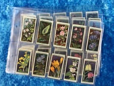 Will's Wild Flowers Full Set