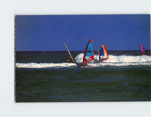 Postcard windsurfing hawaii - postcard,