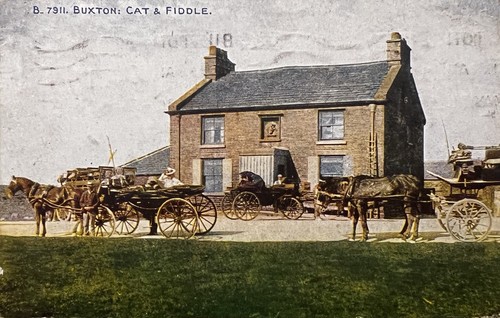 1920 buxton the - buxton, cat
