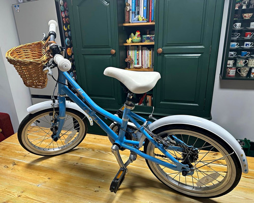 Pendleton girls kids bike - kids,