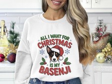 Basenji Dog Christmas