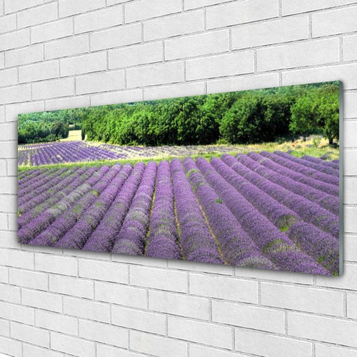 Glass pictures wall art print