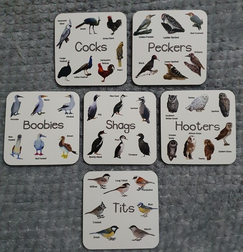 Bird coasters adult joke - bird, x6