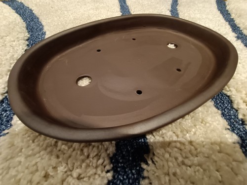 Bonsai pot see new - 31.5,