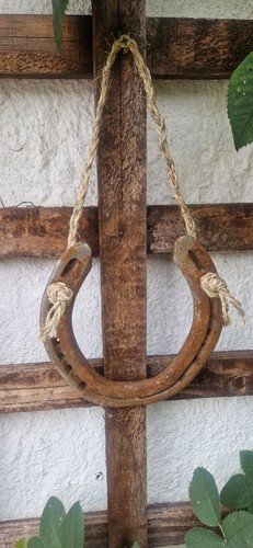 Lucky rustic horseshoe wall - horseshoe,