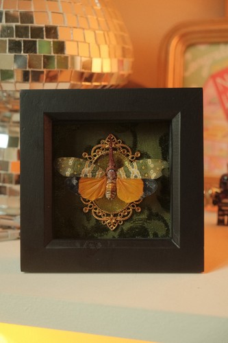 Wax lantern bug deep - bug,