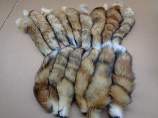 #1 Quality XL Tanned Red Fox