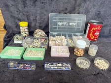 Huge Job Lot of Sea Shells