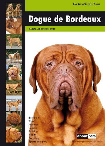 Dogue bordeaux dog - dogue,