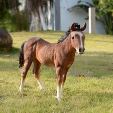 13.5" H Standing Horse Resin