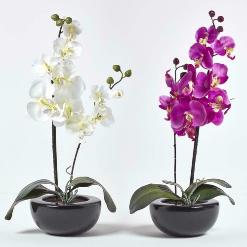 Homescapes artificial plants - homescapes,