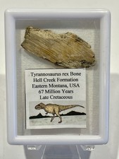 Tyrannosaurus Rex Hell Creek
