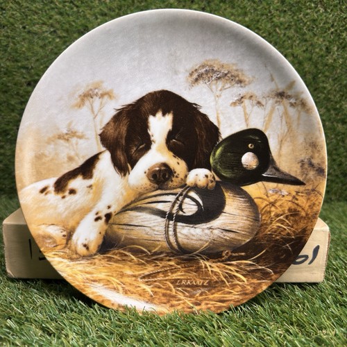 1987 knowles field puppies - field,