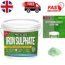 Professional-Grade 2.5 KG Iron