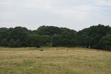 Photo 6x4 Parliament Hill Hampstead/TQ2685  c2016