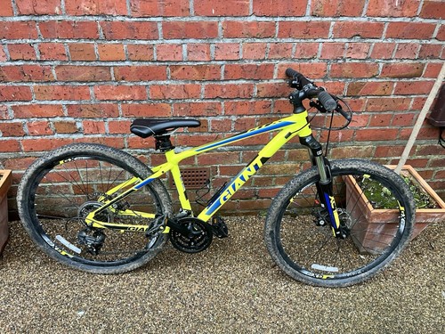 Junior mountain bike giant - junior,