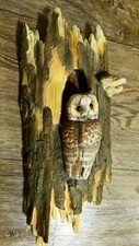 Border fine arts Tawny Owl, Wall plaque 667404, 1999