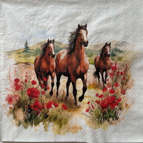Luncheon paper napkins for - 2,