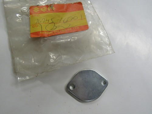 Suzuki oil pump block off - pump,